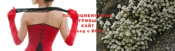 стафф Балахна
