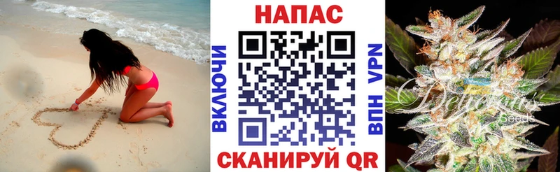 продажа наркотиков  Магас  Бошки марихуана VHQ 